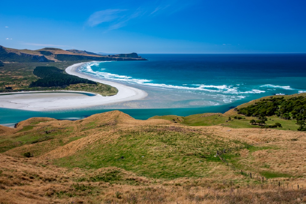 shore excursions dunedin nz